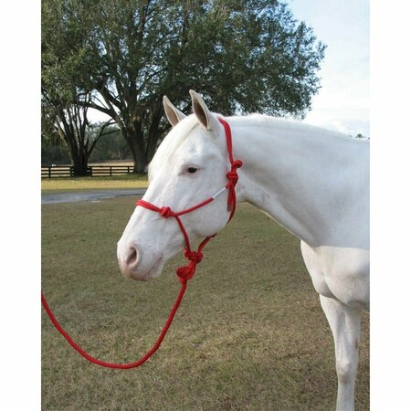 HAMILTON Adult Rope Halter W/Lead RHL AVRD